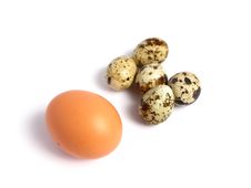 Chicken And Quail Eggs Stock Image