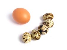 Chicken And Quail Eggs Royalty Free Stock Image