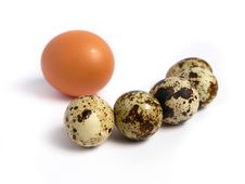 Chicken And Quail Eggs Royalty Free Stock Photos Chicken And Quail Eggs Royalty Free Stock Photos