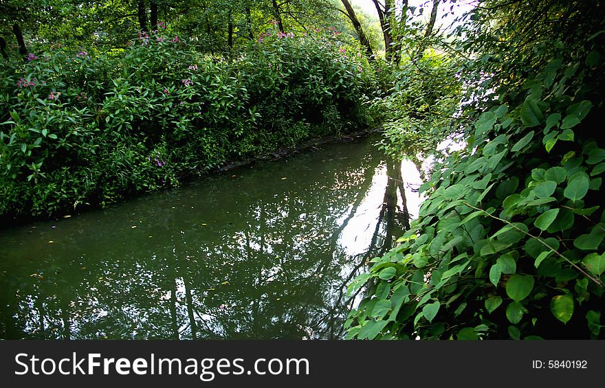 Huge Pond surrounded by Trees and Plants. Huge Pond surrounded by Trees and Plants