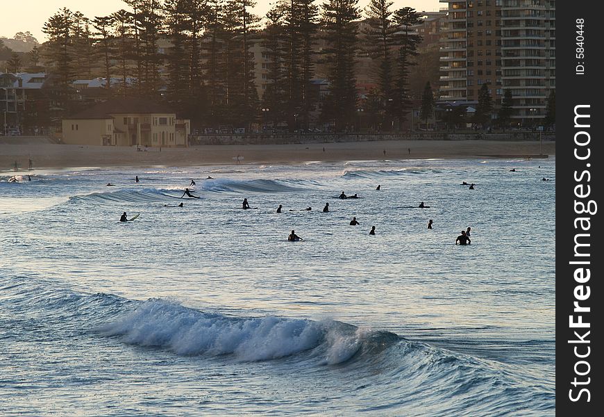 Surfers in Manly beach, Sydney