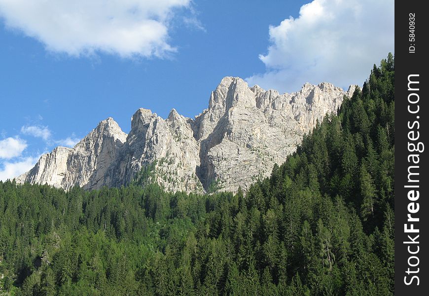 Dolomite cliffs and evergreen woods. Dolomite cliffs and evergreen woods