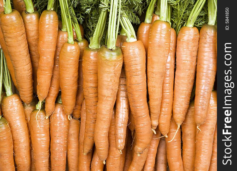 Many orange carrots against a leafy background. Many orange carrots against a leafy background