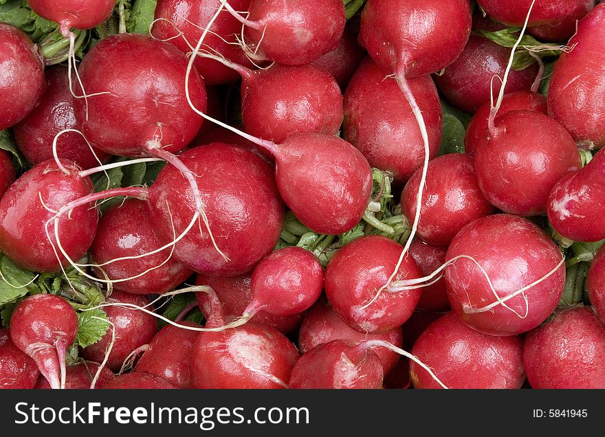 Many red radishes against a leafy background