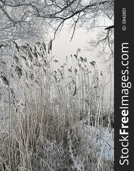 View winter landscape and cloud sky