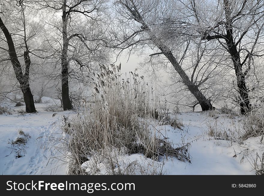 View winter landscape and cloud sky