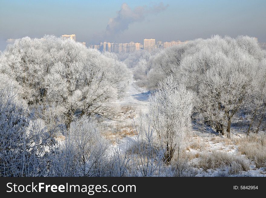 View winter landscape and view City