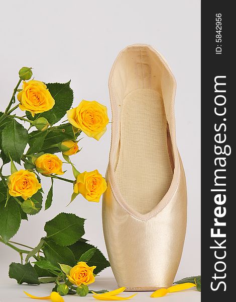 Close-up ballet pastel pointe with yellow rose
