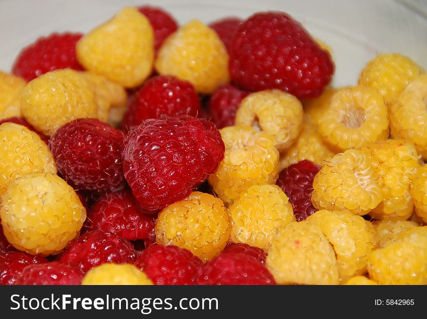 Red And Gold Raspberries