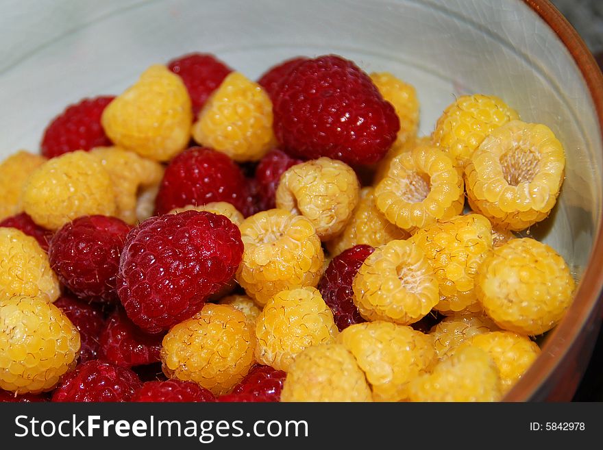 A bowl of red and gold sweet juicy raspberries. A bowl of red and gold sweet juicy raspberries