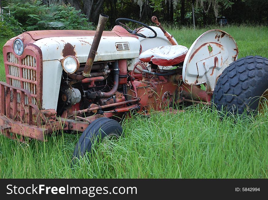 Old Ford Ferguson tractor, sitting in a overgrown yard. Old Ford Ferguson tractor, sitting in a overgrown yard.