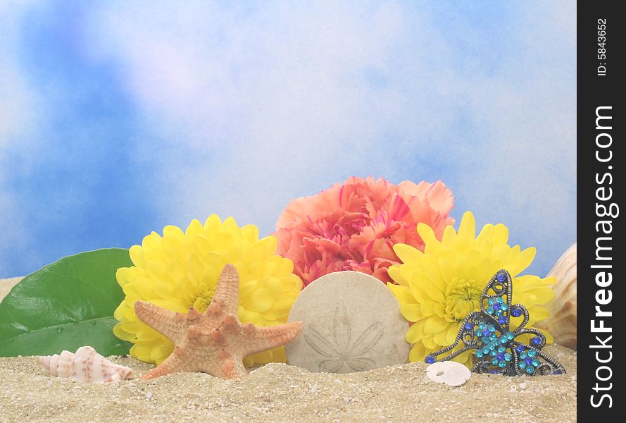 Flowers and Sea Shells on Sand With Blue Background. Flowers and Sea Shells on Sand With Blue Background