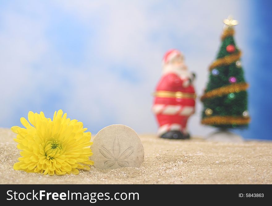Flower and Christmas Tree on Sand, Shallow DOF, Focus on Sea Shell. Flower and Christmas Tree on Sand, Shallow DOF, Focus on Sea Shell