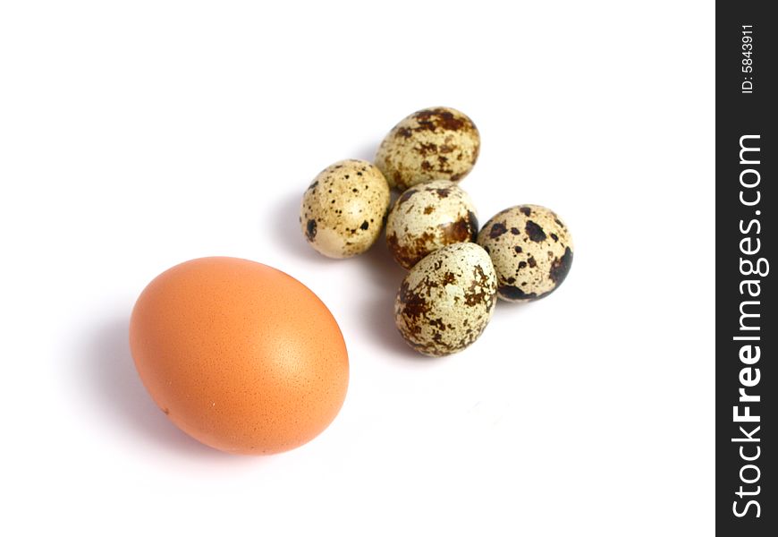 Chicken and Quail Eggs on white background