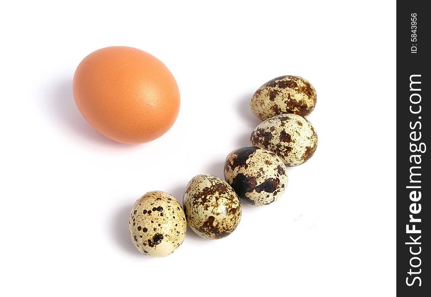 Chicken and Quail Eggs on white background