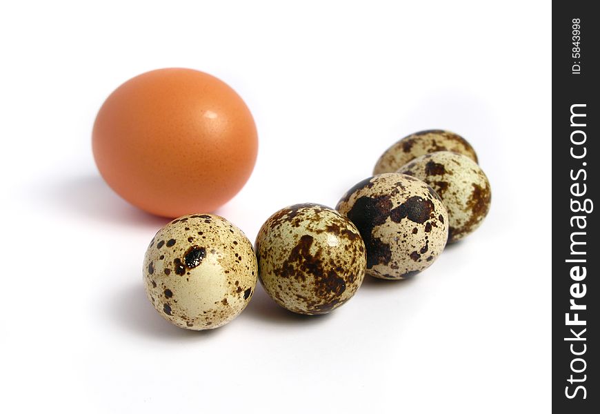 Chicken and Quail Eggs on white background