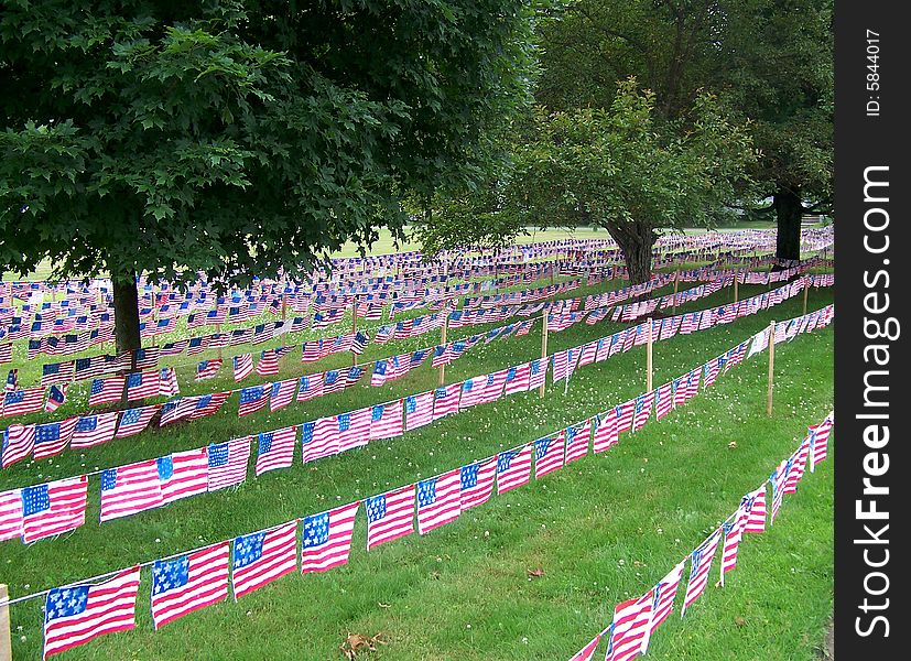 A large field is covered in row after row of flafs waving in the soft breeze. A large field is covered in row after row of flafs waving in the soft breeze.