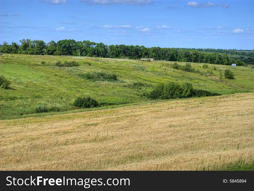 Beauty nature green grass, trees and blue clean sky. Beauty nature green grass, trees and blue clean sky