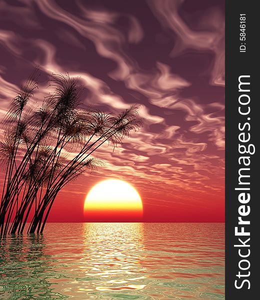 Water plants on a sea sunset  background  -  digital artwork. Water plants on a sea sunset  background  -  digital artwork.