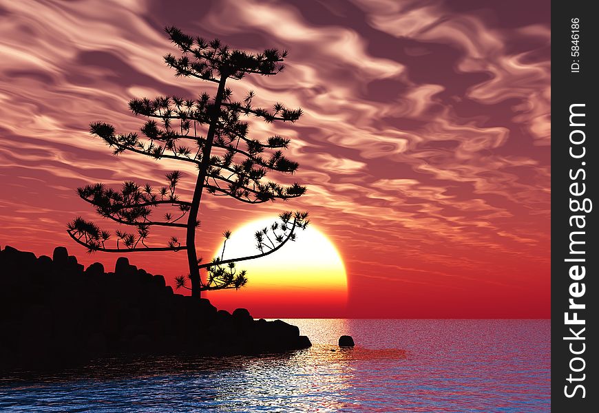 Pine tree at sea coast - digital artwork.