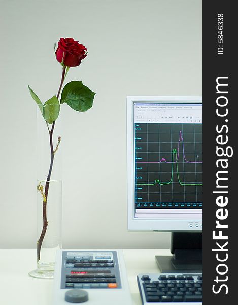 Rose in laboratory of Nuclear Magnetic Resonance . Rose in laboratory of Nuclear Magnetic Resonance .