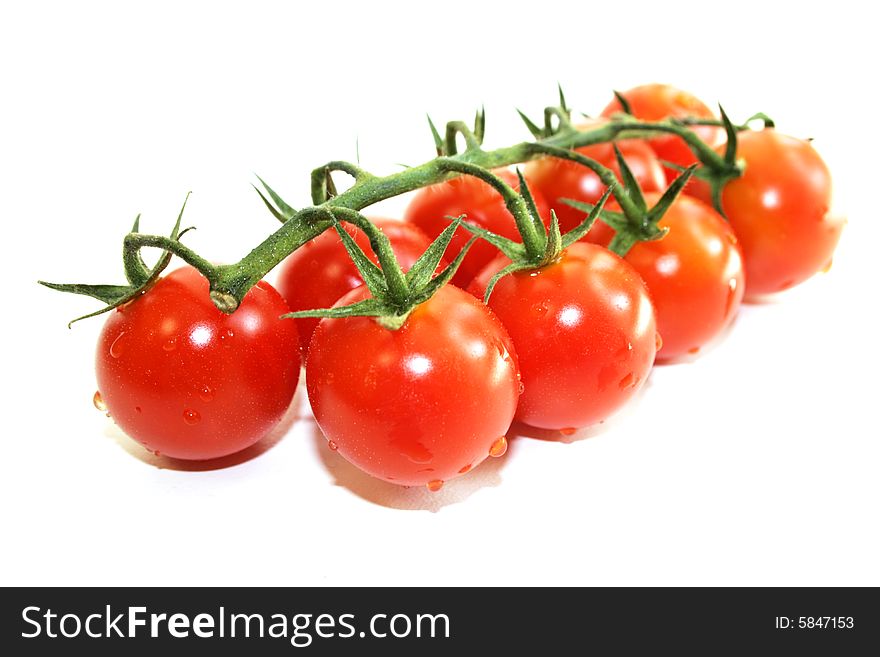 Branch of green branch fresh ripe red tomatoes cherry