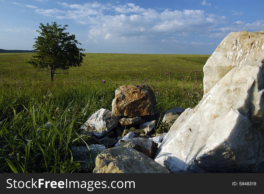 Meadow with stones in the front and tree. Meadow with stones in the front and tree