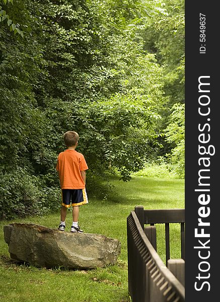 Boy walking in the woods ponders which path to take. Boy walking in the woods ponders which path to take