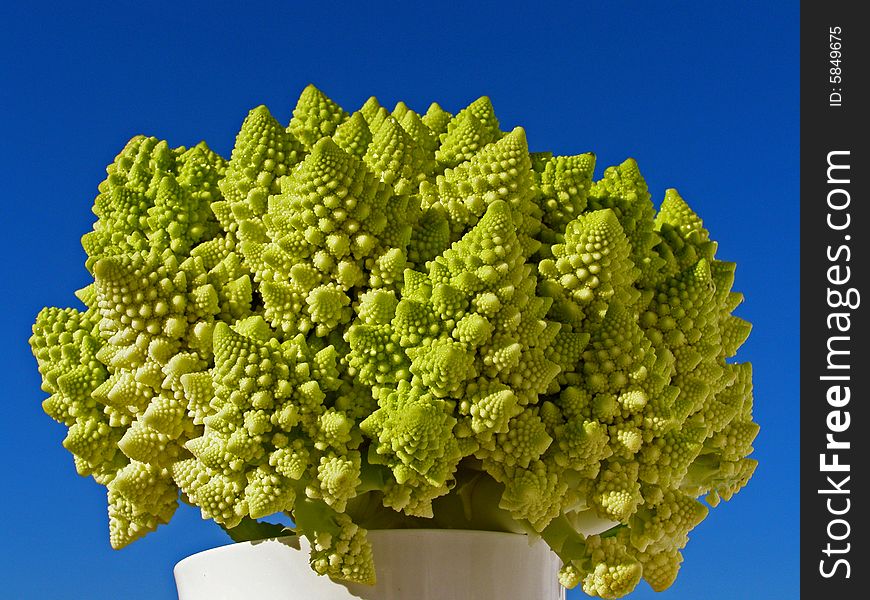Fractal Cabbage Romanesque on blue sky background