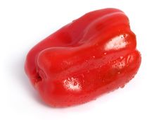 Red Pepper Wet Stock Photography