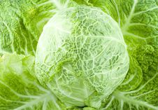 Cabbage Stock Images Cabbage Stock Images