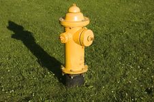 Yellow Fire Hydrant Royalty Free Stock Photo Yellow Fire Hydrant Royalty Free Stock Photo