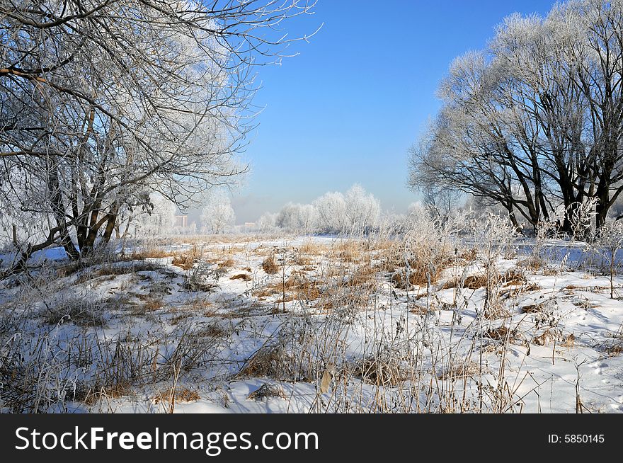 View winter landscape and blue sky
