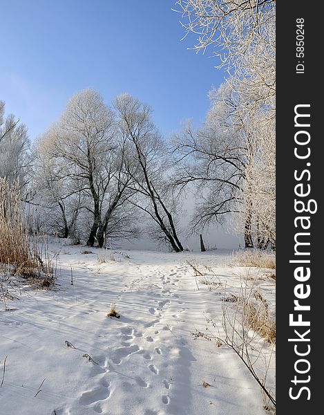 View winter landscape and blue sky