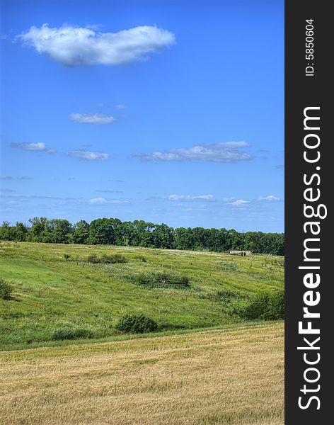 Sky And Grass