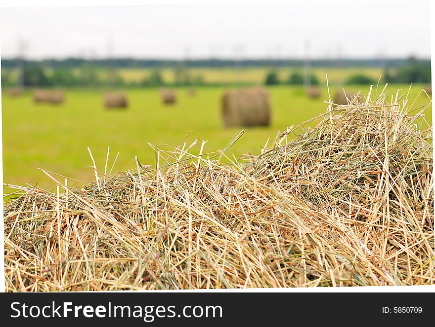 Rural landscape with straw rolls. Rural landscape with straw rolls