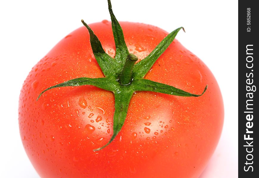 Tomato alone and wet on a white background. Tomato alone and wet on a white background