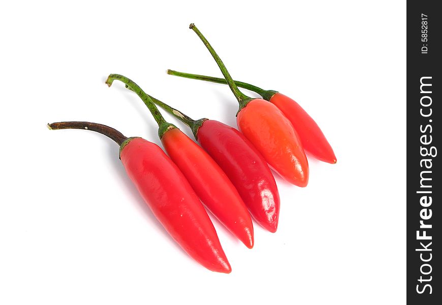 Red chilies on line, on white background