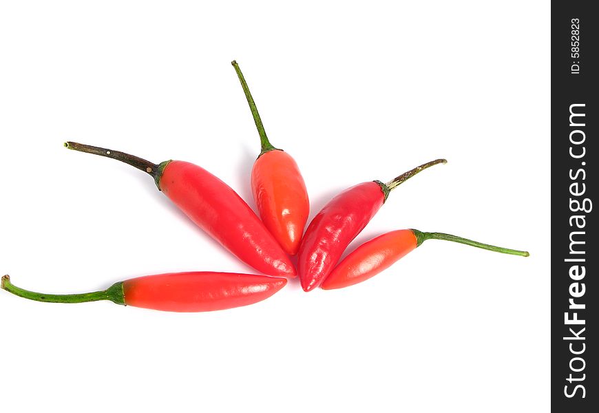 Red chilies on line, on white background