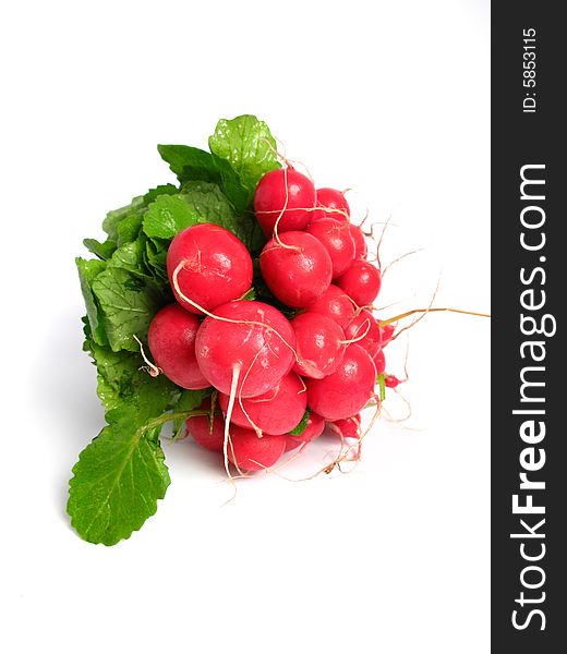 Radish bunch on white background