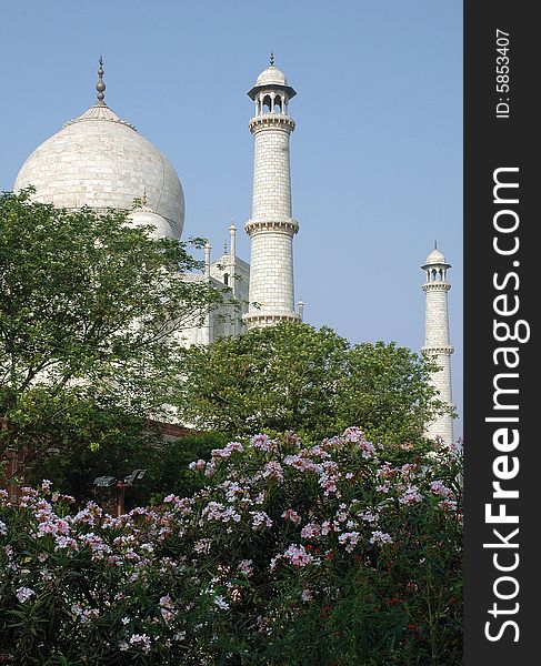 Back side of Taj mahal at Agra-India. Back side of Taj mahal at Agra-India.