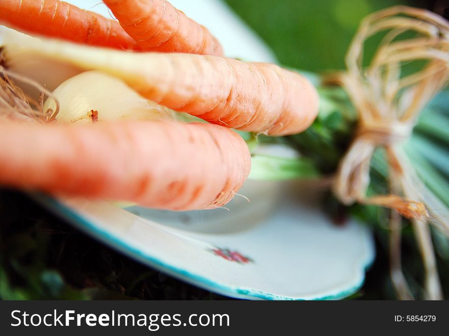 Carrot and onions tied up together in green grass