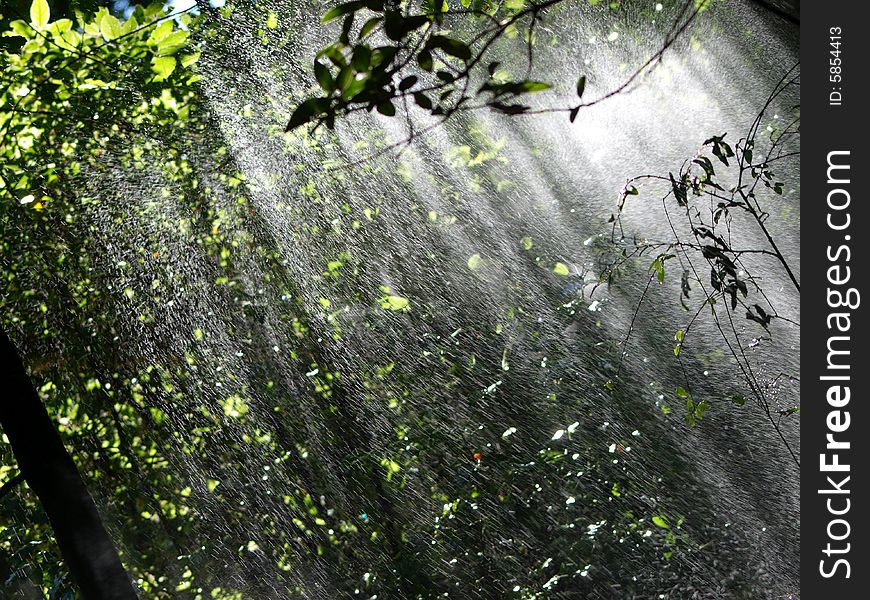 A suggestive shot of jets of water in a forest. A suggestive shot of jets of water in a forest