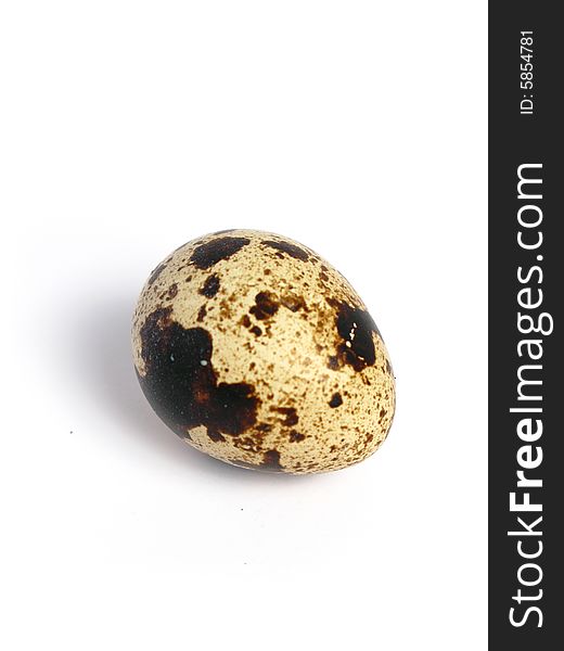 Quail Egg