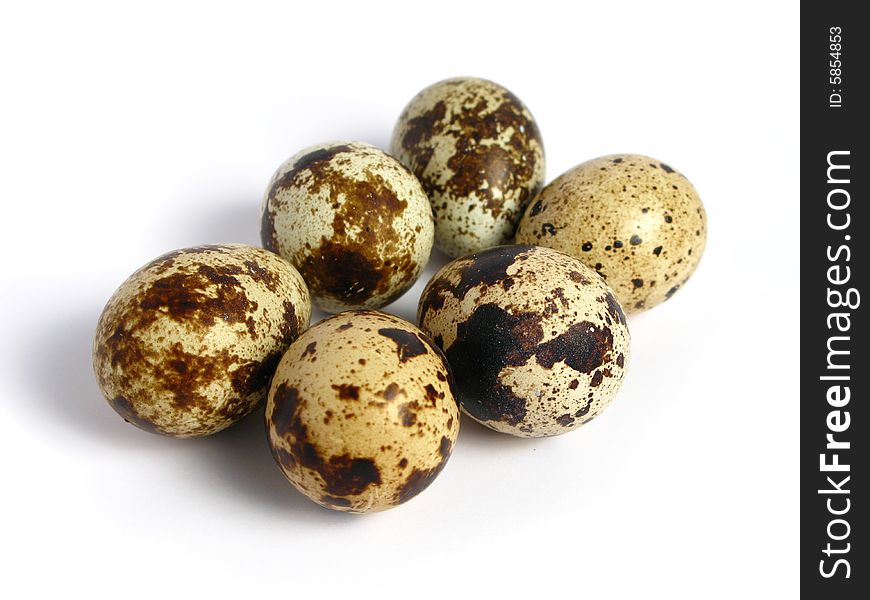 Quail Eggs in group on white background