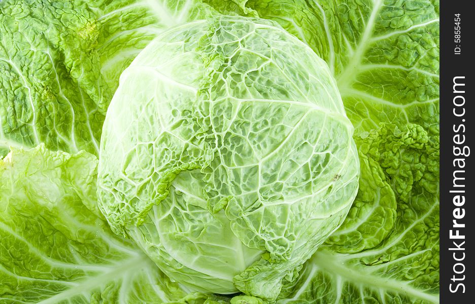 A piece of green cabbage - vegetable - detail