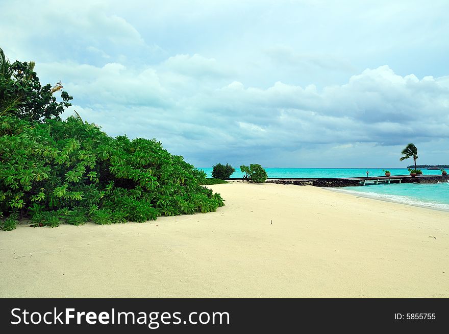 Island of Paradise. White sand beaches with coco-tree and crystal blue water. Maldives. Luxury holidays. Island of Paradise. White sand beaches with coco-tree and crystal blue water. Maldives. Luxury holidays.