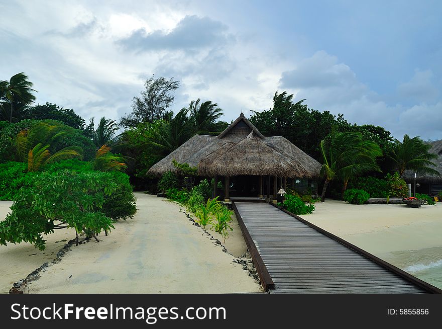 Island of Paradise. White sand beaches with coco-tree and crystal blue water. Maldives. Luxury holidays. Island of Paradise. White sand beaches with coco-tree and crystal blue water. Maldives. Luxury holidays.