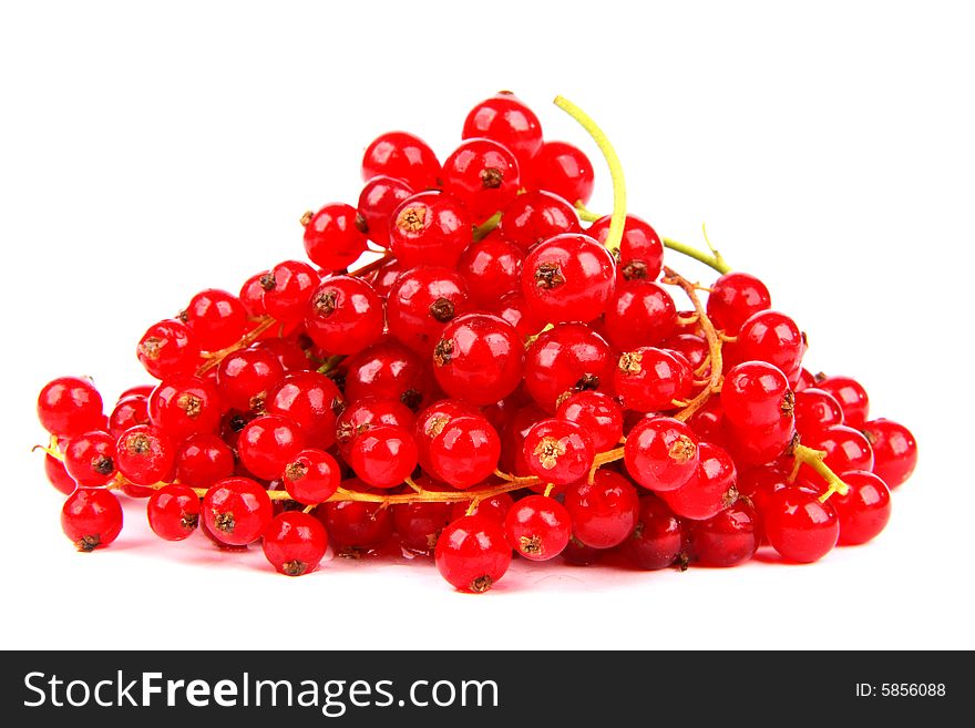 Very fresh and juicy red currants