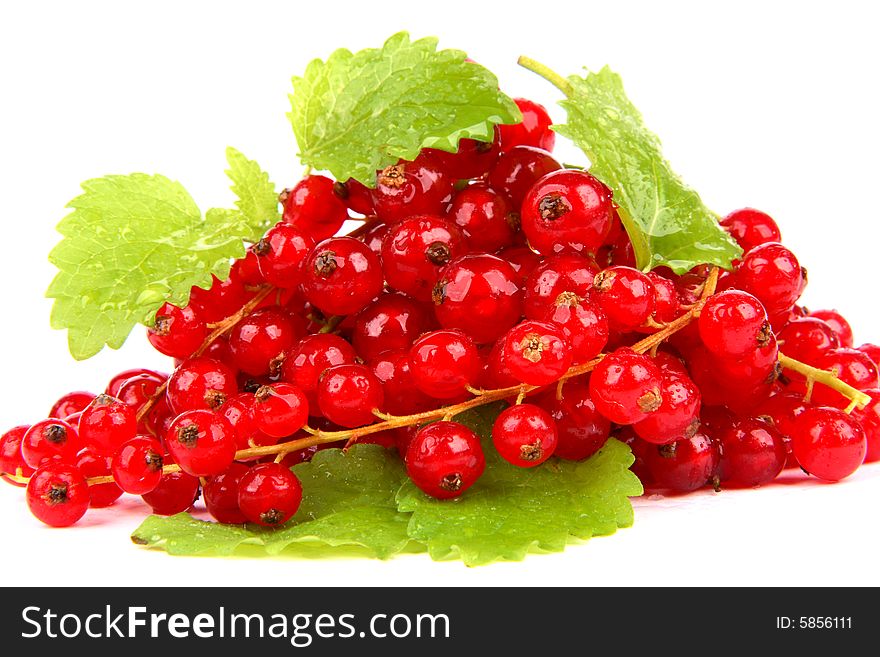 Very fresh and juicy red currants